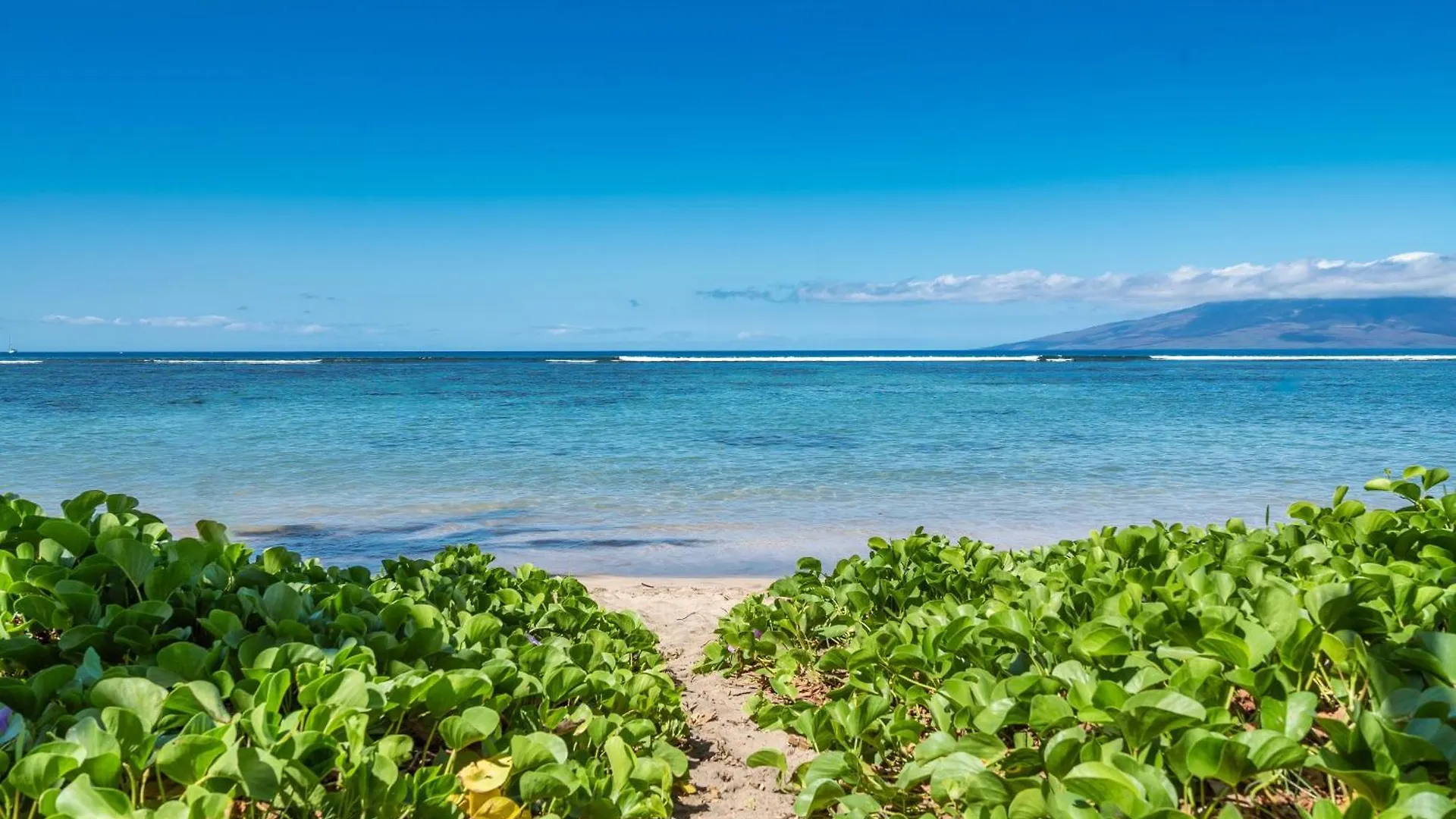 Сasa de vacaciones Puunoa Beach Estates 103 Lahaina Estados Unidos